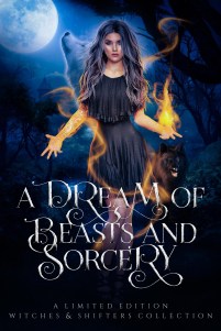 a dream of beasts and sorcery cover 2